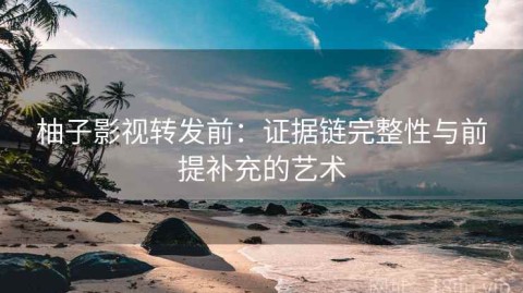 柚子影视转发前：证据链完整性与前提补充的艺术