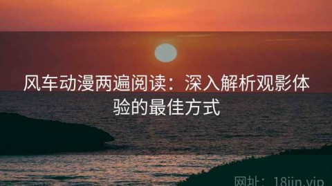 风车动漫两遍阅读：深入解析观影体验的最佳方式