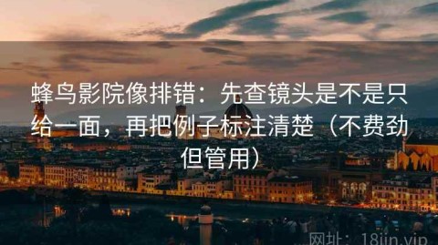 蜂鸟影院像排错：先查镜头是不是只给一面，再把例子标注清楚（不费劲但管用）