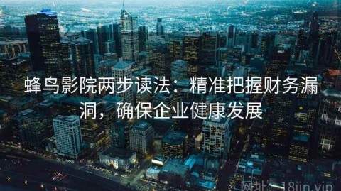 蜂鸟影院两步读法：精准把握财务漏洞，确保企业健康发展
