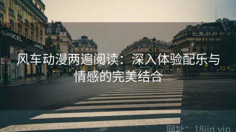 风车动漫两遍阅读：深入体验配乐与情感的完美结合
