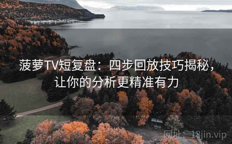 菠萝TV短复盘：四步回放技巧揭秘，让你的分析更精准有力